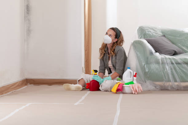 Reliable Mold Cleanup contractor in Burnt Cabins, PA by Cheap Mold Removal